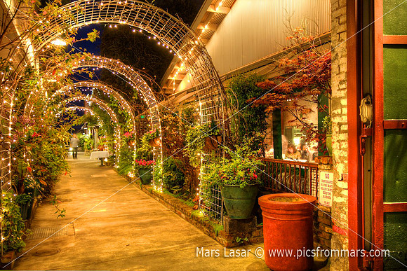 Celadon Pathway_nite 2