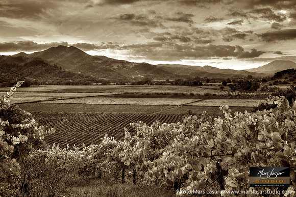 Washington Sunet_sepia