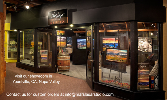 Mars Lasar Studio