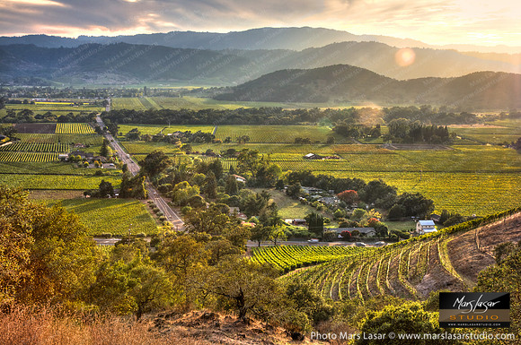 Warm Valley Afternoon