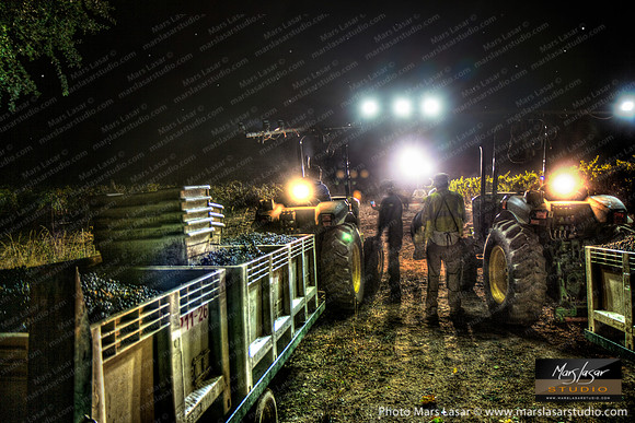 Final Pick Of The Night