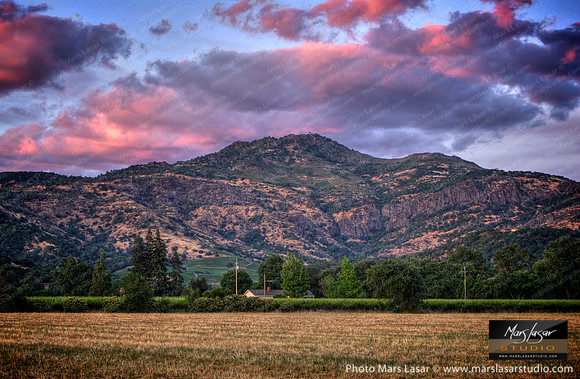 Stags Leap Twilight