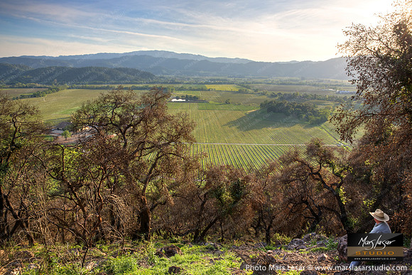 Gamble Western Vista