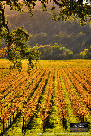 Fall Hidden Valley_close