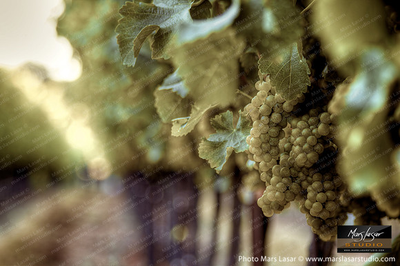 The Final Morning_sep