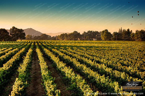 Cool Harvest Morning