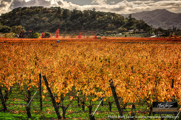 Cliff Lede Late Fall Afternoon