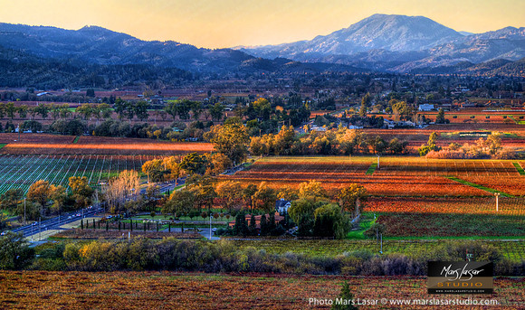 Napa Valley Fall Afternoon
