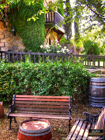 Sattui Afternoon Tasting