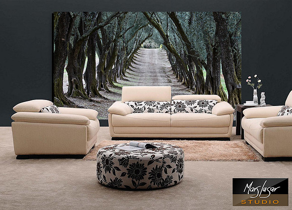 olive tree tunnel_living room