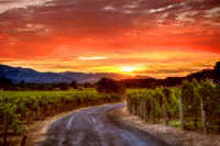 Warm Summer Sunset