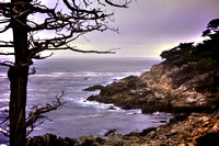 17 Mile Drive