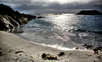 Pebble Beach Shores