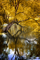 On Golden Pond