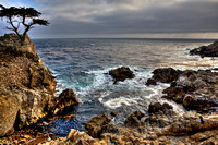 Lone Cypress Shores