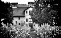 Trefethen Winery Fall_B&W