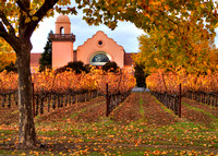 Groth Winery Fall
