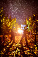 deep night harvest