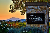 Trefethen 1