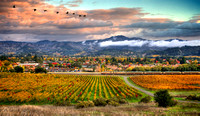 Classic Yountville