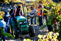 Trefethen Pickers 2