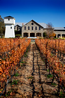 Silver Oak Sunny Fall_vert