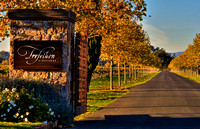 Trefethen Driveway