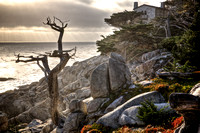 Carmel Sanctuary